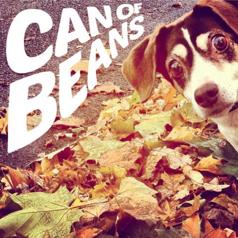 CAN OF BEANS - Self Titled (LP)
