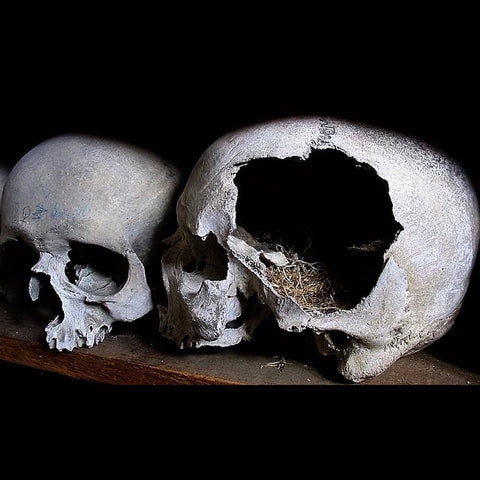 WEATHERED STATUES - Desolation (CASS)