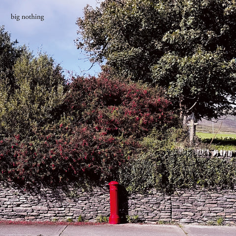 BIG NOTHING - S/T (LP)