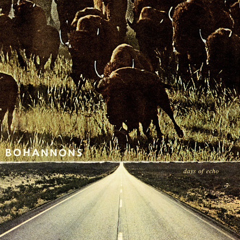 BOHANNONS, THE - Days of Echo (LP)