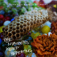 ADAM REID & THE IN-BETWEENS - The Numbers Keep Repeating (CASS)