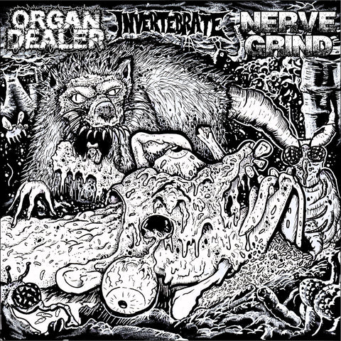 V/A: ORGAN DEALER / NERVE GRIND / INVERTEBRATE - Split (7" EP)
