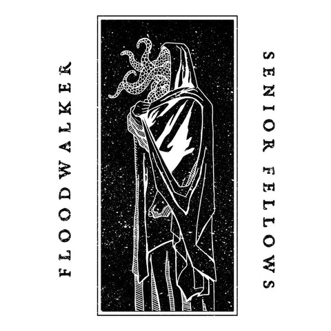 V/A: FLOODWALKER / SENIOR FELLOWS - Split (10")