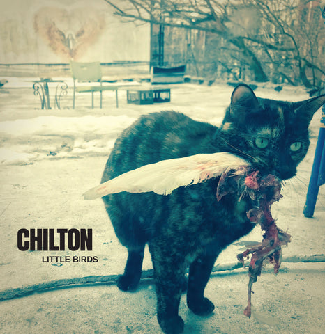 CHILTON - Little Birds (LP)